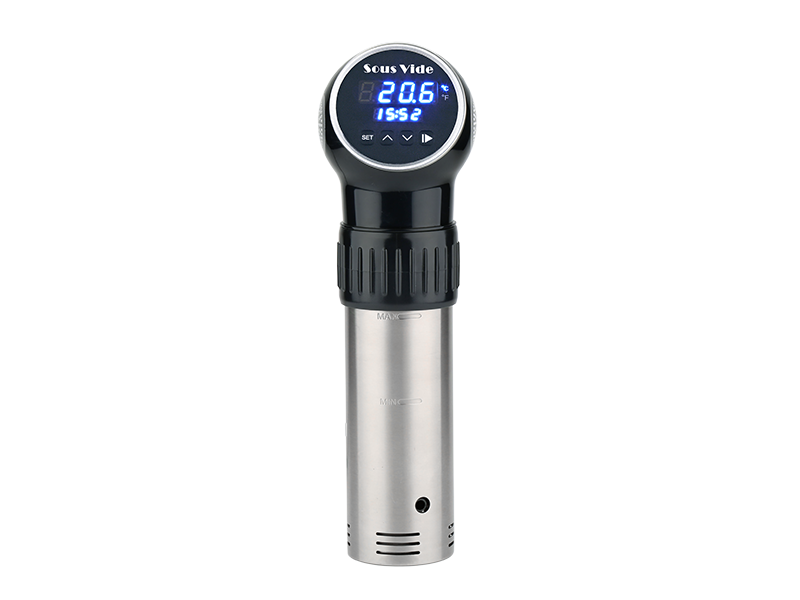 sous vide cooker for home